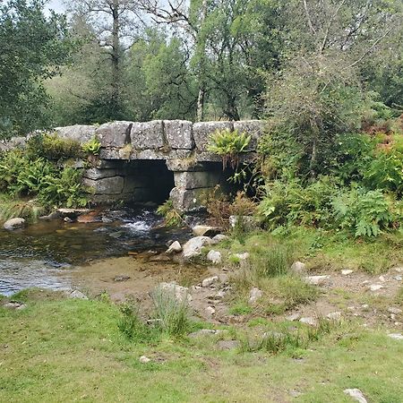 Dartmoor Reach Alpaca Farm Heated Cabins 5 Mins Drive To Dartmoor Bovey Tracey Exterior foto