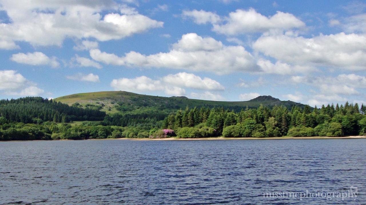 Dartmoor Reach Alpaca Farm Heated Cabins 5 Mins Drive To Dartmoor Bovey Tracey Exterior foto