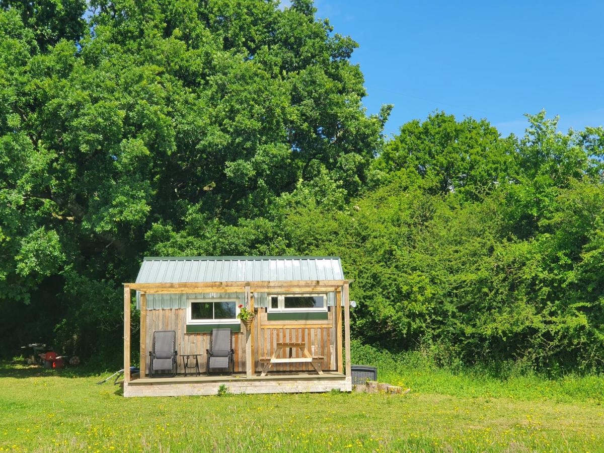 Dartmoor Reach Alpaca Farm Heated Cabins 5 Mins Drive To Dartmoor Bovey Tracey Exterior foto