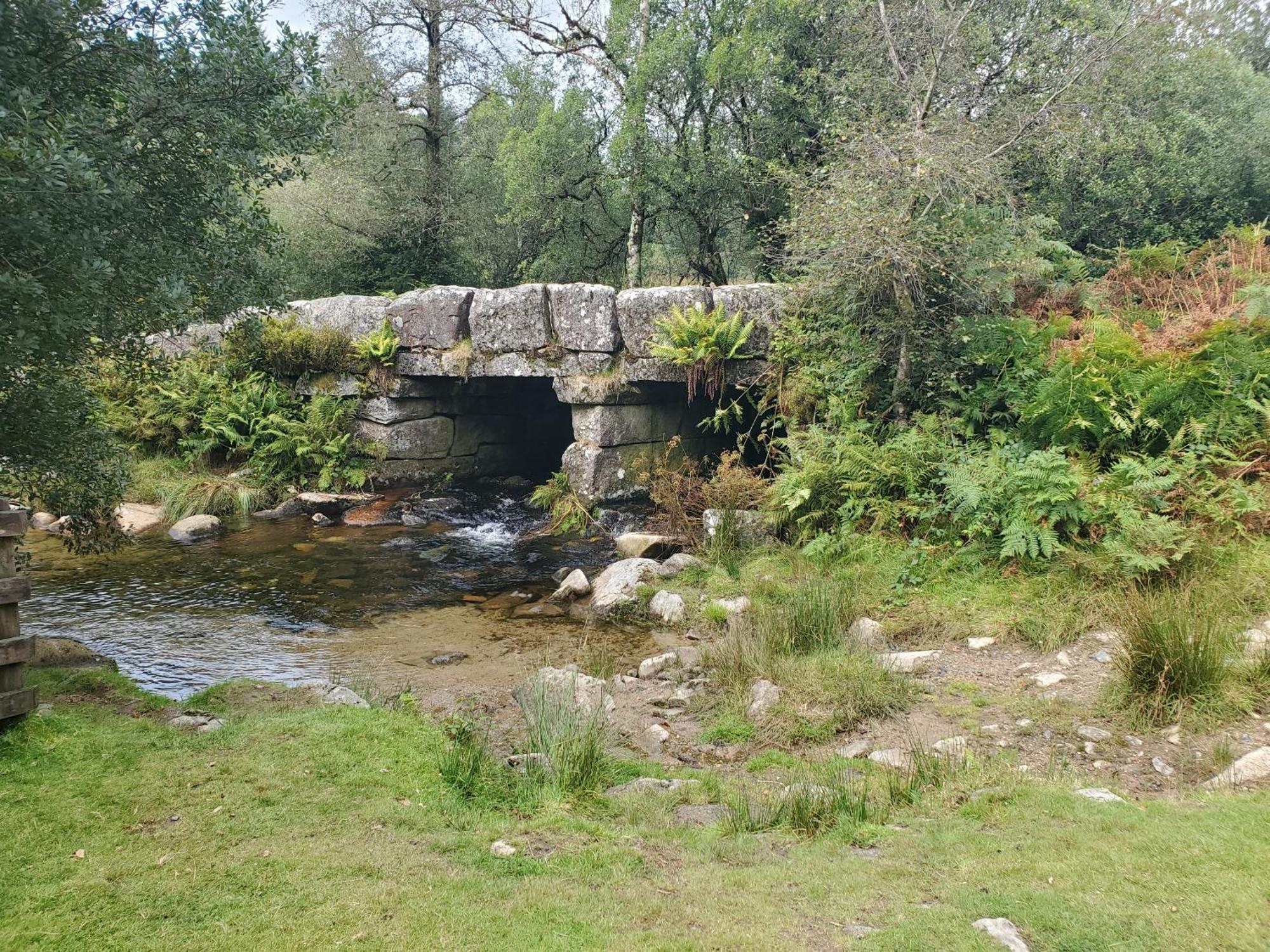 Dartmoor Reach Alpaca Farm Heated Cabins 5 Mins Drive To Dartmoor Bovey Tracey Exterior foto